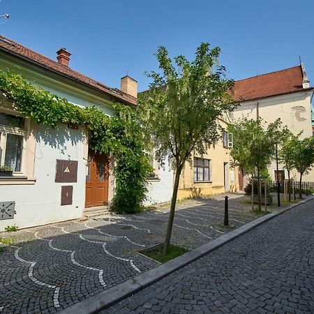 Ferienwohnung Krejcovstvi Mělník Exterior foto